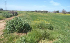 For sale, land, Larnaca, Xylofagou, 7,860m&sup2;, &euro;31,000 
