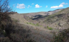 For sale, land, Limassol, malia, 7,358m&sup2;, &euro;10,000 