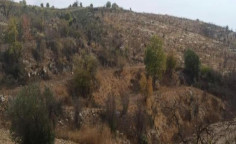 For sale, land, Paphos, Drymou, 6,522m&sup2;, &euro;15,000 