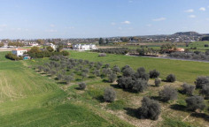 For sale, land, Nicosia, Ergates, 4,534m&sup2;, &euro;160,000 , Nicosia