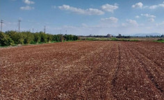 For sale, land, field, Nicosia, Astromeritis, 9,365m&sup2;, &euro;60,000 