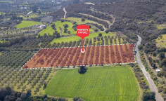 For sale, land, Larnaca, Skarinou, 6,674m&sup2;, &euro;42,000 