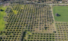 For sale, land, Larnaca, Skarinou, 6,674m&sup2;, &euro;42,000 