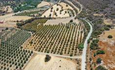For sale, land, Larnaca, Skarinou, 6,674m&sup2;, &euro;42,000 