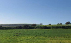 For sale, land, Larnaca, Alaminos, 21,405m&sup2;, &euro;86,000 