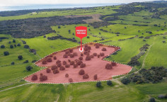 For sale, land, Larnaca, Alaminos, 21,405m&sup2;, &euro;86,000 