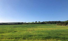 For sale, land, Larnaca, Alaminos, 21,405m&sup2;, &euro;86,000 