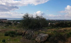 For sale, land, Larnaca, Maroni, 17,587m&sup2;, &euro;520,000 