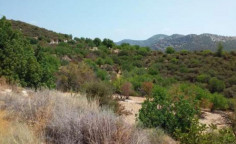 For sale, land, Limassol, Limnatis, 11,887m&sup2;, &euro;40,000 