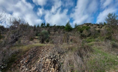 For sale, land, Nicosia, Gourri, 5,686m&sup2;, &euro;11,000 