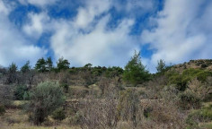 For sale, land, Nicosia, Gourri, 5,686m&sup2;, &euro;11,000 