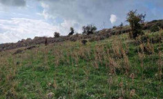 For sale, land, Limassol, Vasa Koilaniou, 3,011m&sup2;, &euro;3,000 