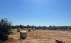 For sale, land, Nicosia, Ergates, 595m&sup2;, &euro;26,000 , Nicosia