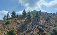 For sale, land, Nicosia, Gourri, 4,348m&sup2;, &euro;16,000 