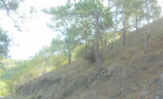 For sale, land, Paphos, Pomos, 5,129m&sup2;, &euro;20,000 