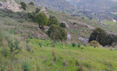 For sale, land, Paphos, Akoursos, 6,355m&sup2;, &euro;17,000 