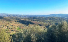For sale, land, field, Paphos, Psathi, 5,352m&sup2;, &euro;90,000 , Paphos