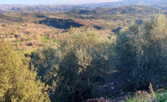For sale, land, field, Paphos, Psathi, 5,352m&sup2;, &euro;90,000 , Paphos
