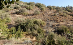 For sale, land, Limassol, Agios Mamas, 5,017m&sup2;, &euro;12,000 