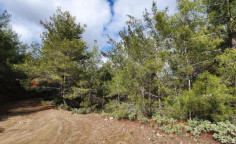 For sale, land, field, Nicosia, palaichori morfou, 3,880m&sup2;, &euro;10,000 