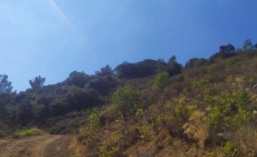 For sale, land, Larnaca, agioi Vavatsinias, 10,703m², €11,000 For sale, land, Larnaca, agioi Vavatsinias, 10,703m², €11,000
