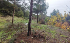 For sale, land, Nicosia, Kapedes, 8,027m&sup2;, &euro;75,000 , Nicosia