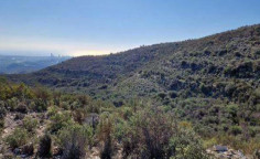 For sale, land, Limassol, Asgata, 6,689m&sup2;, &euro;15,000 