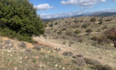 For sale, land, Paphos, Nata, 10,368m², €28,000 For sale, land, Paphos, Nata, 10,368m², €28,000