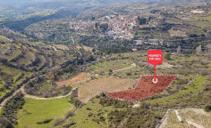For sale, land, field, Limassol, Vasa Koilaniou, 2,007m&sup2;, &euro;3,000 