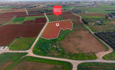 For sale, land, Larnaca, Xylofagou, 8,731m&sup2;, &euro;58,000 