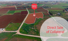 For sale, land, Larnaca, Xylofagou, 8,731m&sup2;, &euro;58,000 