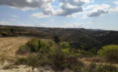 For sale, land, Paphos, Kathikas, 27,091m&sup2;, &euro;50,000 