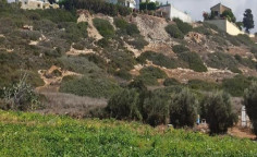 For sale, land, field, Paphos, Pegeia, 4,683m&sup2;, &euro;37,000 , Paphos