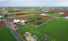 For sale, land, Larnaca, Xylofagou, 9,730m&sup2;, &euro;275,000 , Larnaca