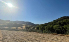 For sale, land, Paphos, Giolou, 8,027m&sup2;, &euro;15,000 