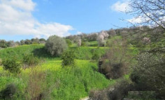 For sale, land, Paphos, mamonia, 14,884m&sup2;, &euro;41,000 