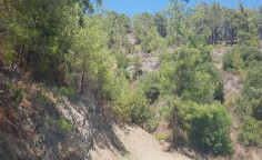 For sale, land, Limassol, Pera Pedi, 19,064m², €37,000 For sale, land, Limassol, Pera Pedi, 19,064m², €37,000