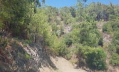 For sale, land, Limassol, Pera Pedi, 20,346m², €90,000 For sale, land, Limassol, Pera Pedi, 20,346m², €90,000