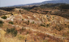 For sale, land, field, Limassol, Vouni, 6,522m&sup2;, &euro;10,000 