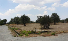 For sale, land, Nicosia, Politiko, 2,007m&sup2;, &euro;45,000 , Nicosia