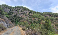 For sale, land, Nicosia, palaichori morfou, 1,580m&sup2;, &euro;3,000 