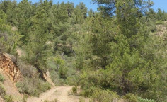 For sale, land, Nicosia, palaichori morfou, 1,580m&sup2;, &euro;3,000 