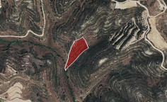 For sale, land, field, Limassol, Pachna, 6,689m&sup2;, &euro;10,000 