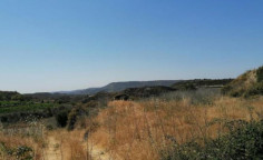 For sale, land, field, Limassol, Pachna, 6,689m&sup2;, &euro;10,000 