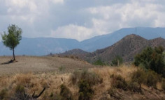 For sale, land, Nicosia, linou, 11,372m&sup2;, &euro;26,000 
