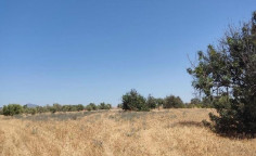 For sale, land, field, Larnaca, Mazotos, 2,676m&sup2;, &euro;75,000 , Larnaca