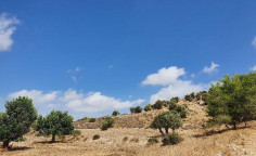 For sale, land, Larnaca, Psevdas, 5,410m², €3,000 For sale, land, Larnaca, Psevdas, 5,410m², €3,000