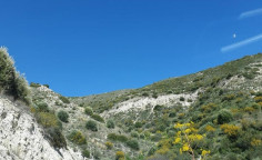 For sale, land, Larnaca, Tochni, 34,449m&sup2;, &euro;50,000 