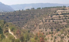 For sale, land, Limassol, Korfi, 23,746m&sup2;, &euro;20,000 