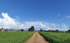 For sale, land, Larnaca, Xylofagou, 12,602m&sup2;, &euro;50,000 